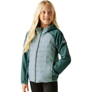 Regatta Kielder Hybrid Ix Jacket Spring Green / Green Haze 11-12 Years Boys,Girls Regatta Kielder Hybrid Ix Jacket Spring Green / Green Haze 11-12 Years Boys,Girls