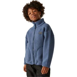 Dare2b Zesty Ii Full Zip Fleece Blue Indigo 7-8 Years Boys,Girls Dare2b Zesty Ii Full Zip Fleece Blue Indigo 7-8 Years Boys,Girls