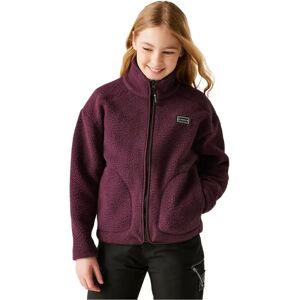 Dare2b Zesty Ii Full Zip Fleece Fig 7-8 Years Girls Dare2b Zesty Ii Full Zip Fleece Fig 7-8 Years Girls
