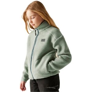 Dare2b Zesty Ii Full Zip Fleece Glacier Green 15-16 Years Girls Dare2b Zesty Ii Full Zip Fleece Glacier Green 15-16 Years Girls