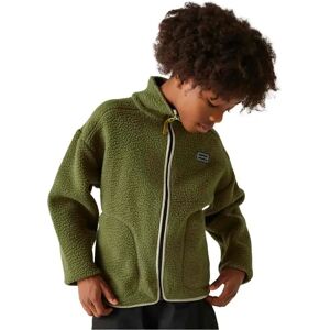 Dare2b Zesty Ii Full Zip Fleece Martini Olive 7-8 Years Boys,Girls Dare2b Zesty Ii Full Zip Fleece Martini Olive 7-8 Years Boys,Girls