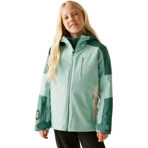 Regatta Trekktain 3in1 Jacket Spruce Green / Green Haze / PerfPale 6-7 Years Girls Regatta Trekktain 3in1 Jacket Spruce Green / Green Haze / PerfPale 6-7 Years Girls