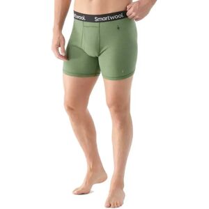Smartwool Merino Brief Boxers Fern Green L Men Smartwool Merino Brief Boxers Fern Green L Men