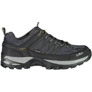 Cmp Rigel Low Wp 3q13247 Hiking Shoes Anthracite / Arabica UK 7 Men Cmp Rigel Low Wp 3q13247 Hiking Shoes Anthracite / Arabica UK 7 Men