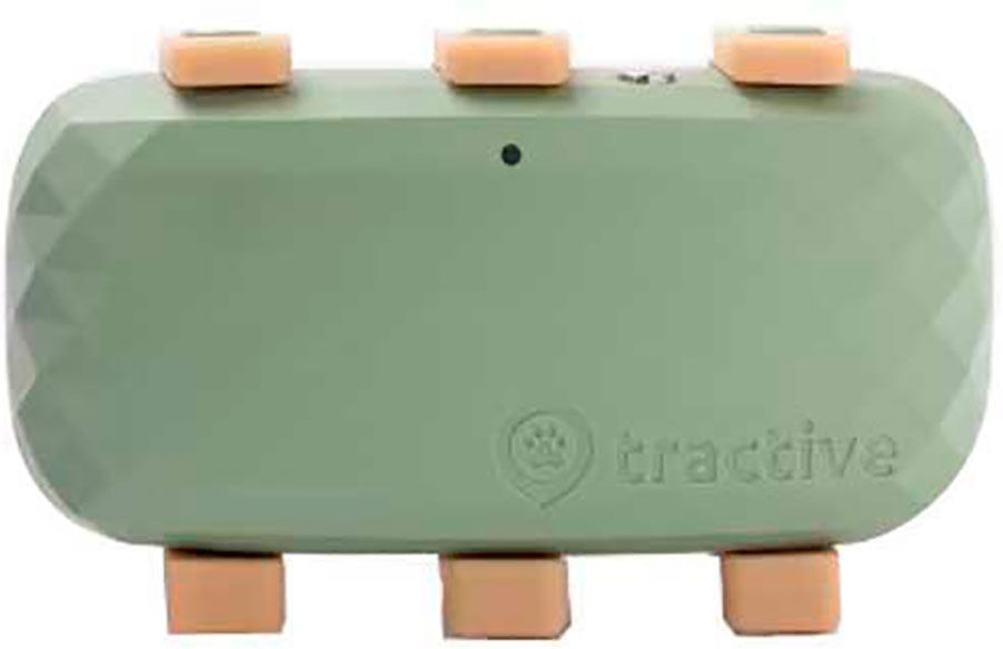 Tractive Dog Xl Gps Locator Green One Size unisex