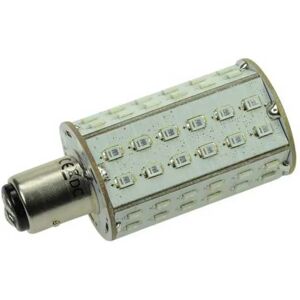 Talamex S-led 60xsmd Bay15d Bulb Green 370 Lumens unisex Talamex S-led 60xsmd Bay15d Bulb Green 370 Lumens unisex