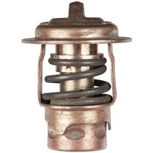 Sierra Thermostat 120º One Size unisex Sierra Thermostat 120º One Size unisex