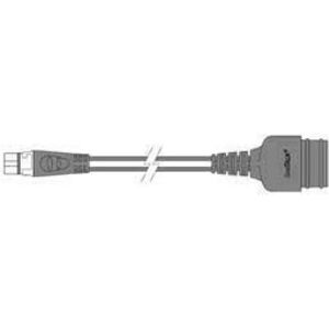 Raymarine Sea Talk Ng To Sea Talk 2 Adapter Cable Grey One Size unisex Raymarine Sea Talk Ng To Sea Talk 2 Adapter Cable Grey One Size unisex