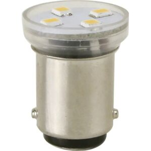 Scandvik Wafwer White Led Bulb Grey 55 Lumens unisex Scandvik Wafwer White Led Bulb Grey 55 Lumens unisex