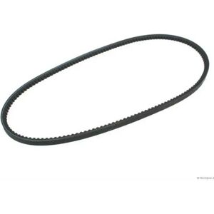 Vetus M3.10 Alternator Belt Grey 925 mm unisex Vetus M3.10 Alternator Belt Grey 925 mm unisex
