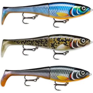 Rapala X-rap Peto Swimbait 39g 140 Mm RTL One Size unisex Rapala X-rap Peto Swimbait 39g 140 Mm RTL One Size unisex