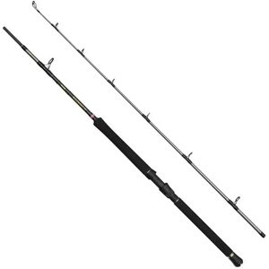 Penn Regiment Iv Boat Spinning Rod Silver 2.10 m unisex Penn Regiment Iv Boat Spinning Rod Silver 2.10 m unisex