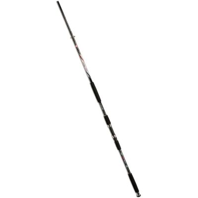 LINEAEFFE Silúrideo Carbon 3.00m - Fishing Rod LINEAEFFE Silúrideo Carbon 3.00m - Fishing Rod