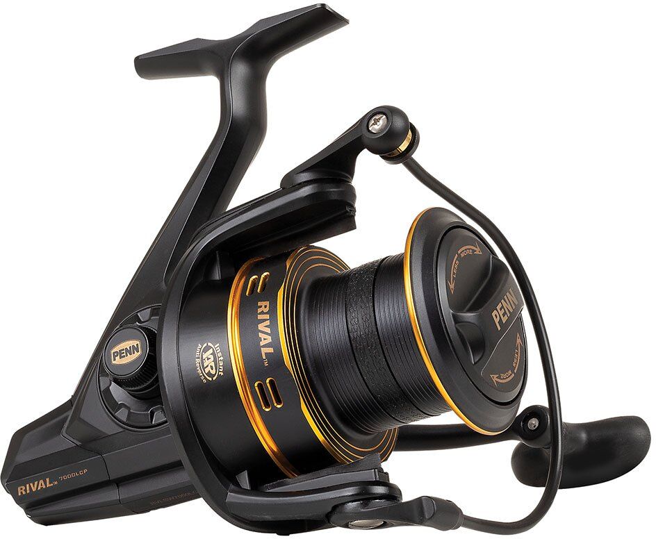 Penn Rival Longcast Surfcasting Reel Black / Gold 6000 unisex