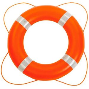 Talamex Lifebuoy 2.5kg Reflective White 600 mm unisex Talamex Lifebuoy 2.5kg Reflective White 600 mm unisex