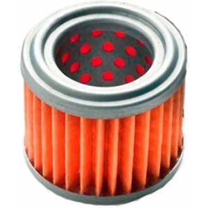 Vetus Stm4050 Fuel Pump Filter Grey One Size unisex Vetus Stm4050 Fuel Pump Filter Grey One Size unisex