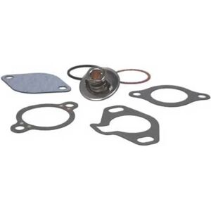 Sierra Gm&mercruiser 18-3647 Engine Block Thermostat Set Grey One Size unisex Sierra Gm&mercruiser 18-3647 Engine Block Thermostat Set Grey One Size unisex