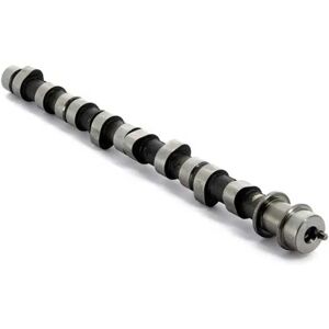 Vetus Vh4.65/80 Camshaft Assembly One Size unisex Vetus Vh4.65/80 Camshaft Assembly One Size unisex