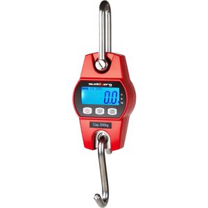 Steinberg Systems Crane Scale - 300 kg / 100 g - red SBS-KW-300AR