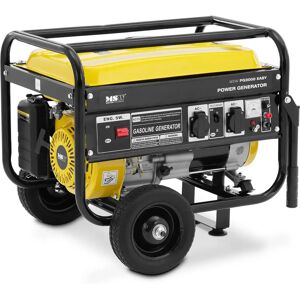 MSW Petrol Generator - 3000 W - 230 V AC / 12 V DC - manual start/electric MSW-PG3000 EASY