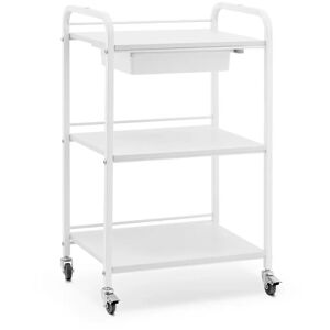 physa Beauty Trolley - 1 drawer - 3 shelves - max. storage capacity 80 kg PHYSA CT-10