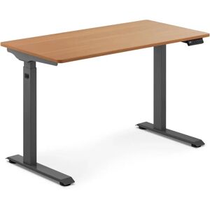 Fromm & Starck Sit-Stand Desk - 90 W - 730 - 1,233 mm - brown/grey STAR_ATFE_20