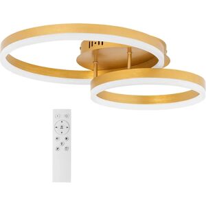 Uniprodo Ceiling Light - 2 circles - remote control - dimmable UNI_LD_05