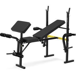 Gymrex Multifunctional Weight Bench - supports up to 100 kg - adjustable GR-TB 51