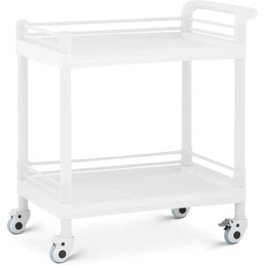 Steinberg Systems Laboratory Trolley - 2 shelves each 65 x 47 x 5 cm - 40 kg SBS-LF-158