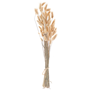 Beliani Dried Flower Bouqet Natural Natural Dried Flowers 58 cm Wrapped in Brown Paper Natural Table Decoration Material:Dried Flowers Size:4x58x10