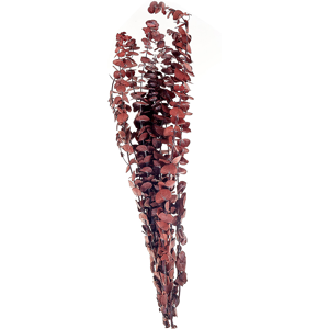 Beliani Dried Flower Bouquet Dark Red Dried Flowers 56 cm Wrapped in Brown Paper Natural Table Decoration Material:Dried Flowers Size:4x56x13