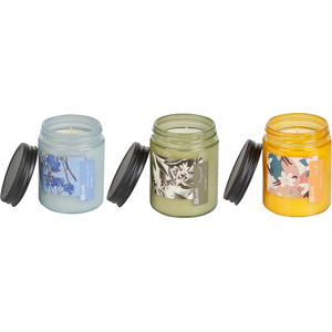 Beliani Set of 3 Scented Candles Multicolour 100% Soy Wax Cotton Wick Glass Fresh Floral Fragrance Bergamot Vanilla Geranium Lavender Material:Soy Wax Size:7x9x7