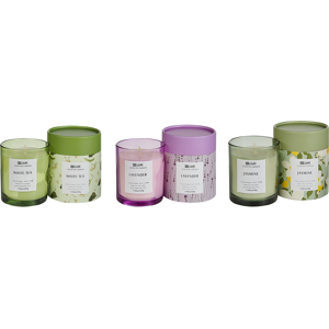 Beliani Set of 3 Scented Candles Multicolour 100% Soy Wax Cotton Wick Glass Floral Oriental Herb Fragrance White Tea/Lavender/Jasmine Material:Soy Wax Size:8x9x8