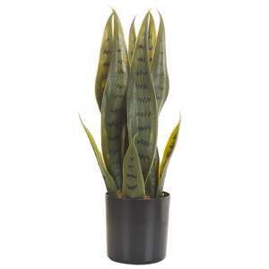Beliani Artificial Potted Snake Plant Green and Black Synthetic Material 40 cm Decorative Indoor Accessory Material:Synthetic Material Size:10x40x10