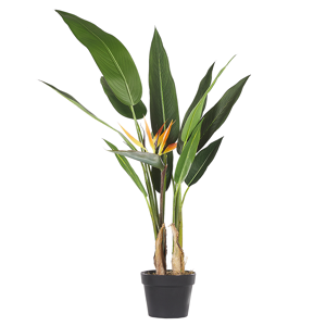 Beliani Artificial Potted Strelitzia Tree Green and Black Synthetic 115 cm Material Decorative Indoor Accessory Material:Synthetic Material Size:13x115x13