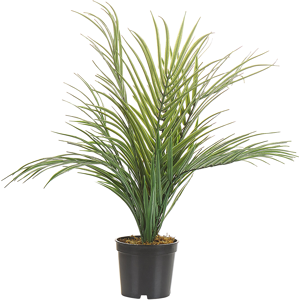 Beliani Artificial Potted Plant Green and Black Synthetic Material 45 cm Fake Areca Palm Decorative Indoor Accessory Material:Synthetic Material Size:7x45x7