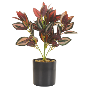 Beliani Artificial Potted Plant Green and Red Synthetic Material Black Pot 35 cm Fake Tradescantia Decorative Indoor Accessory Material:Synthetic Material Size:10x35x10