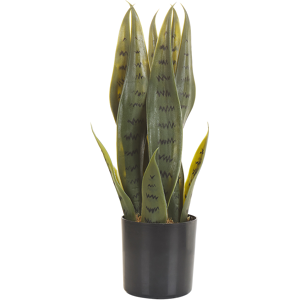 Beliani Artificial Potted Snake Plant Green and Black Synthetic Material 40 cm Decorative Indoor Accessory Material:Synthetic Material Size:10x40x10