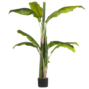 Beliani Artificial Potted Banana Tree Green and Black Synthetic 154 cm Material Decorative Indoor Accessory Material:Synthetic Material Size:14x154x14