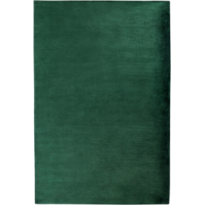 Beliani Area Rug Green Viscose 160 x 230 cm Tufted Low Pile Modern Material:Viscose Size:xx200