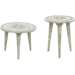 Beliani Set of 2 Side Tables Green Distressed Mango Wood Round Vintage End Side Tables for Living Room Retro Material:Mango Wood Size:xx