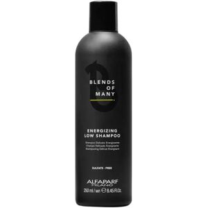 Alfaparf Milano Blends Of Many Energizing Low Shampoo - Shampoo for Weak Hair Alfaparf Milano Blends Of Many Energizing Low Shampoo - Shampoo for Weak Hair