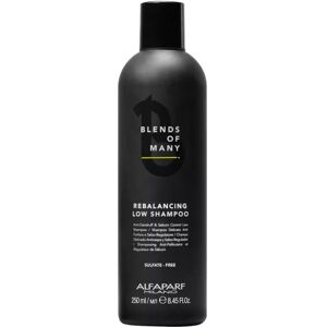 Alfaparf Milano Blends of Many Rebalancing Low Shampoo - Anti-dandruff Alfaparf Milano Blends of Many Rebalancing Low Shampoo - Anti-dandruff