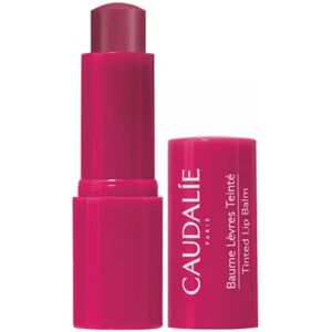 Caudalie Vinotherapist Tinted Lip Balm 4.5g Caudalie Vinotherapist Tinted Lip Balm 4.5g