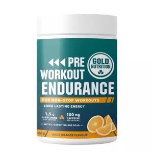 Gold Nutrition Pre-Workout Endurance Orange 300g
