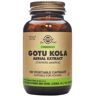 Solgar Gotu Kola Capsules x100