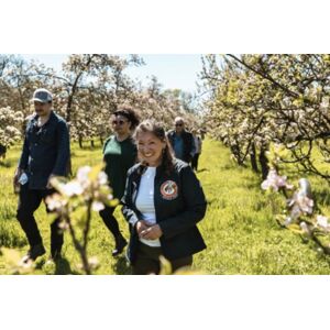 Dorset Nectar Cider Cider Brewery Guided Tour & Tasting For 2 - Dorset   Wowcher