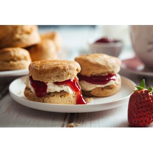Willow Tree Family Farm Cream Tea & Reptile Experience For 1 Or 2 - Shirebrook   Wowcher