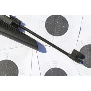 Skirmish Sherwood Forest Activity Centre Air Rifle Shooting Experience For 1-4 People   Wowcher