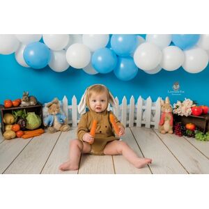 60 Minute Baby Photoshoot At Lavender Fox Photography   Wowcher